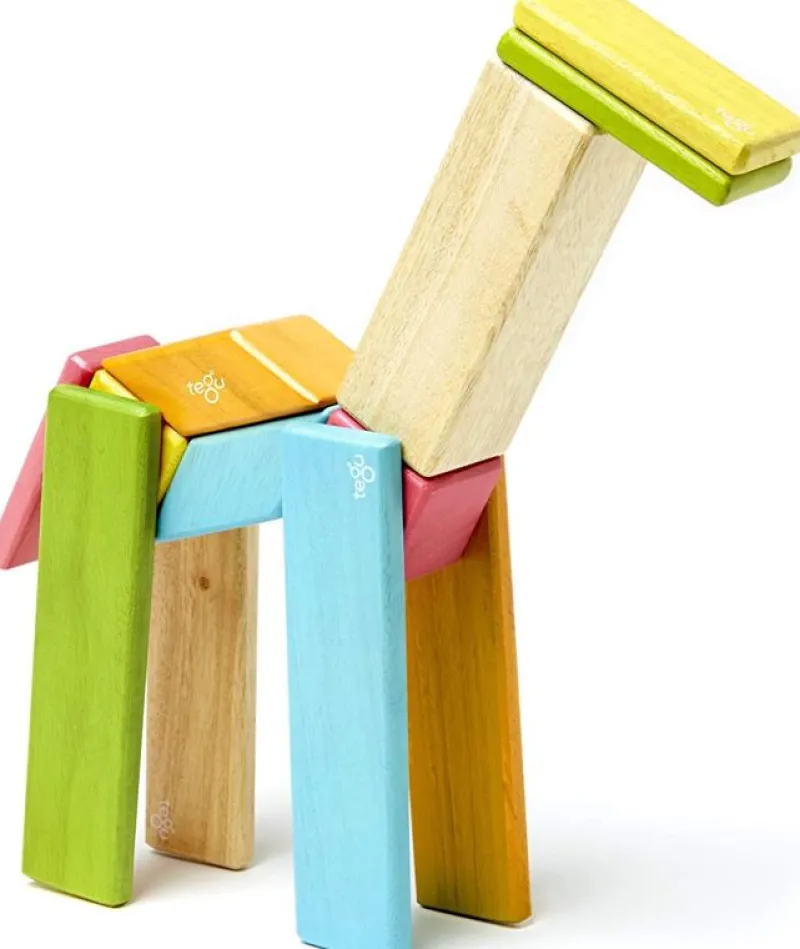 Tegu Juego De 14 Piezas De Tinturas - ^ Imanes, Libros Magnéticos Y Juegos Magnéticos
