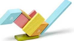 Tegu Juego De 14 Piezas De Tinturas - ^ Imanes, Libros Magnéticos Y Juegos Magnéticos