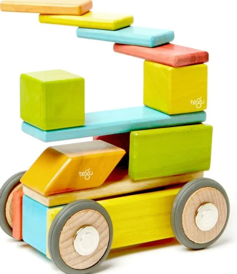 Tegu Juego De 42 Piezas Tintas - ^ Imanes, Libros Magnéticos Y Juegos Magnéticos