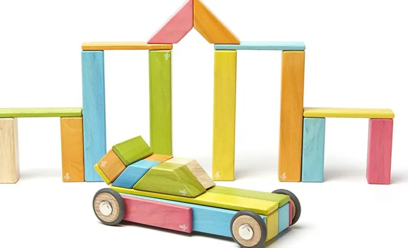 Tegu Juego De 42 Piezas Tintas - ^ Imanes, Libros Magnéticos Y Juegos Magnéticos