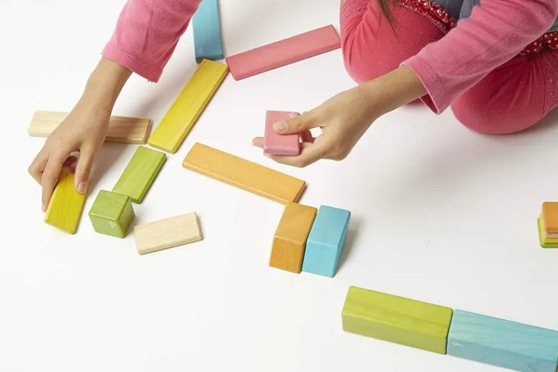 Tegu Juego De 42 Piezas Tintas - ^ Imanes, Libros Magnéticos Y Juegos Magnéticos