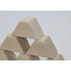 Foulon Juego De Construcción - 65 Ladrillos Magik - ^ Tablas De Madera