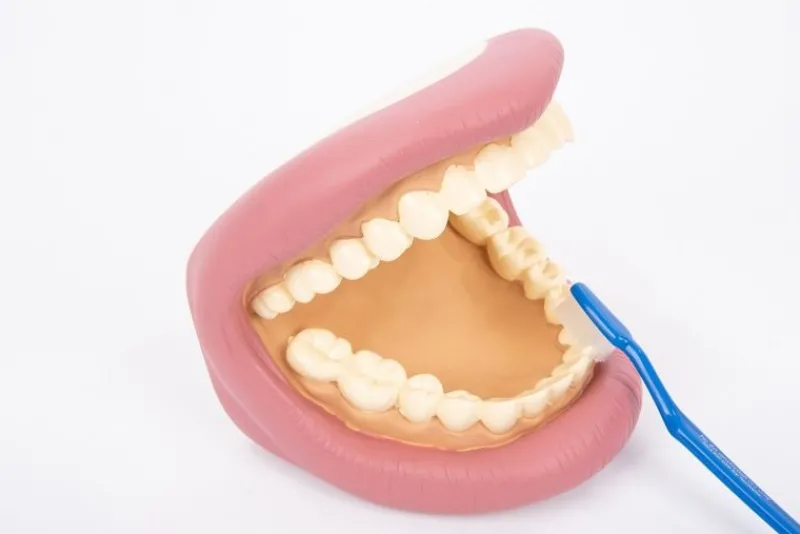 TickiT Kit De Demostracion Dental Gigante - ^ El Mundo Médico