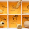 Quelle est Belle Company Llamadas - 6 Nidos Didactico - ^ Llamadas De Pájaros