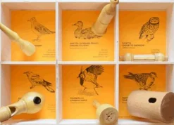 Quelle est Belle Company Llamadas - 6 Nidos Didactico - ^ Llamadas De Pájaros
