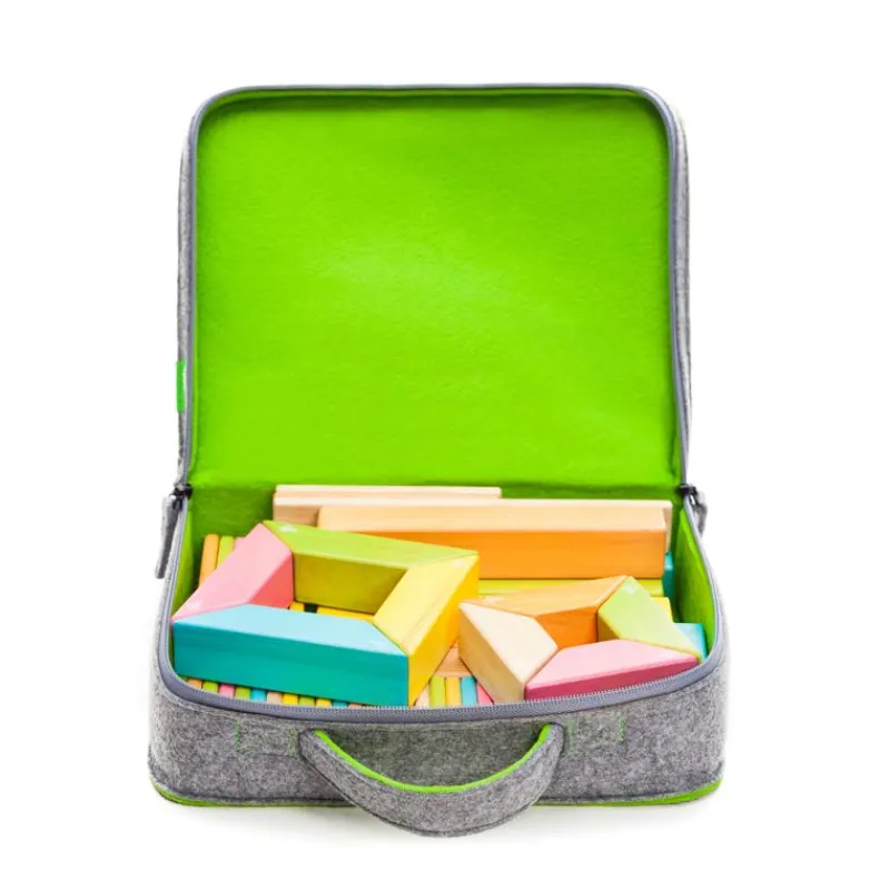 Tegu Maleta De Transporte - ^ Imanes, Libros Magnéticos Y Juegos Magnéticos