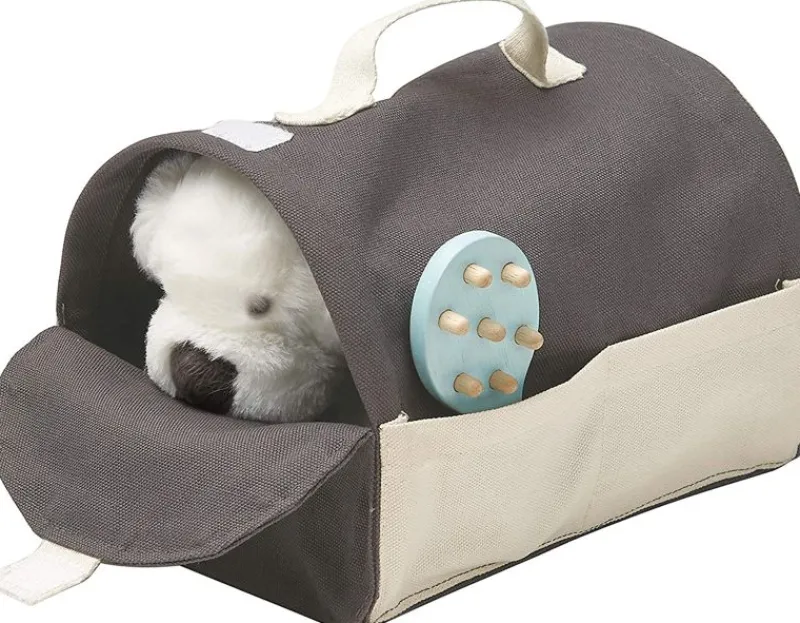 Plan Toys Maleta De Viaje Para Mascotas - ^ El Mundo Médico