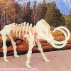 Bones & More Mammouth - ^ Modelos Para Construir