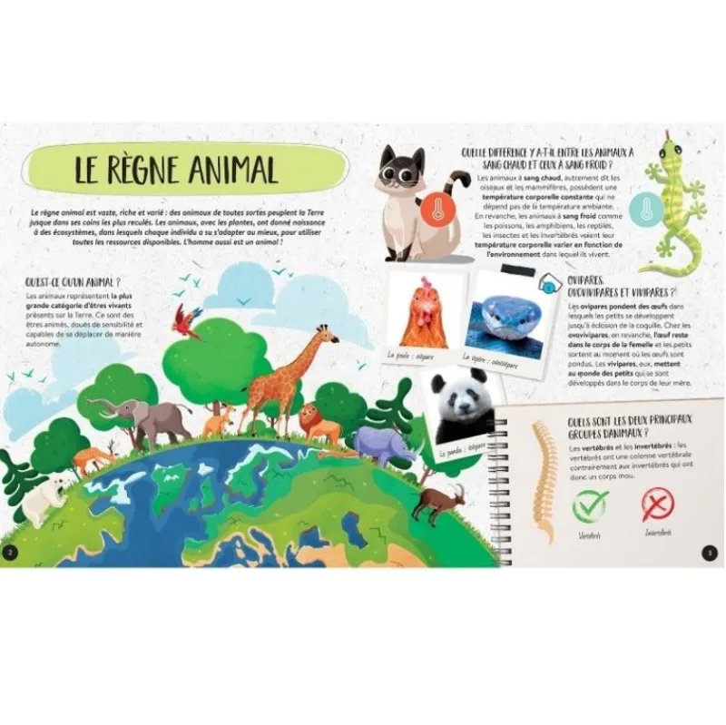 Sassi Junior Mega Atlas De Animales - ^ Libros