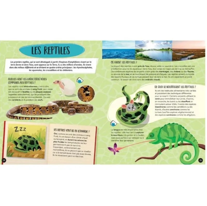 Sassi Junior Mega Atlas De Animales - ^ Libros