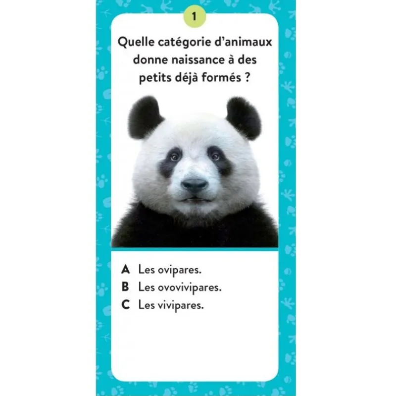 Sassi Junior Mega Atlas De Animales - ^ Libros