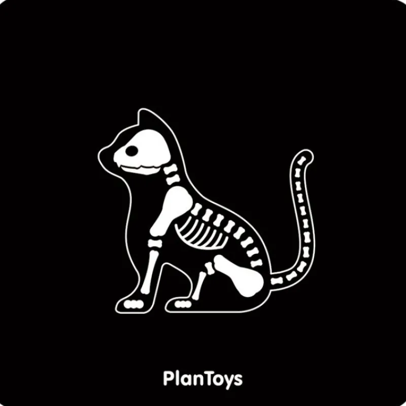 Plan Toys Mi Maleta Veterinaria - ^ El Mundo Médico