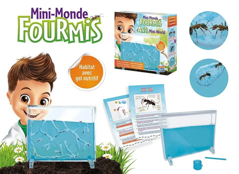 Buki France Mini Mundo Hormiga - ^ Cajas Nido Y Comederos Para Animales