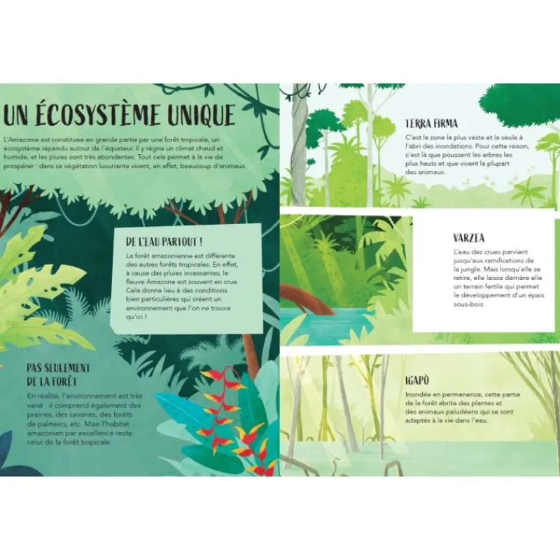 Sassi Junior Planeta En Peligro - El Amazonas - ^ Libros