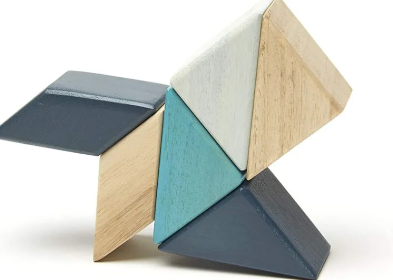 Tegu Prism Pocket Pouch Blues 6 Piezas - ^ Imanes, Libros Magnéticos Y Juegos Magnéticos