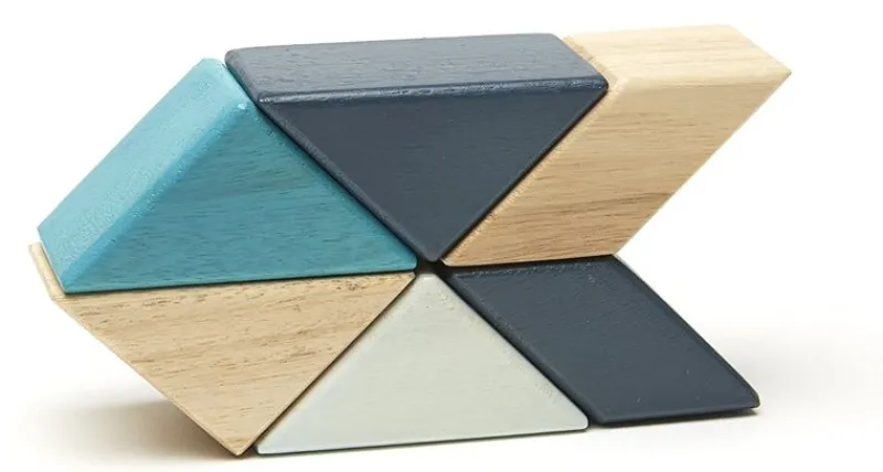 Tegu Prism Pocket Pouch Blues 6 Piezas - ^ Imanes, Libros Magnéticos Y Juegos Magnéticos