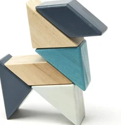 Tegu Prism Pocket Pouch Blues 6 Piezas - ^ Imanes, Libros Magnéticos Y Juegos Magnéticos