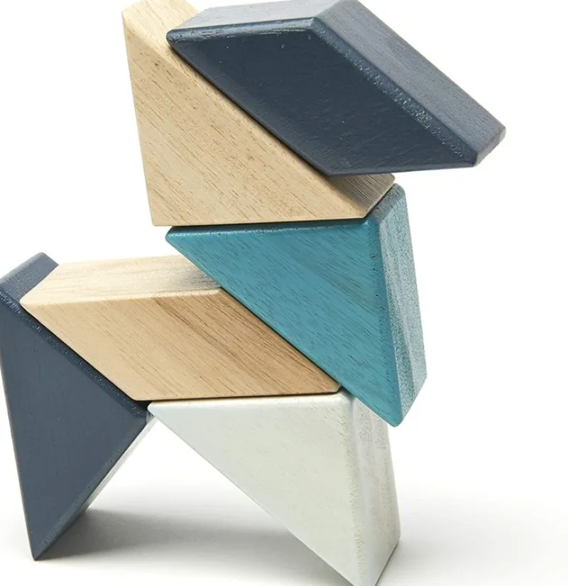 Tegu Prism Pocket Pouch Blues 6 Piezas - ^ Imanes, Libros Magnéticos Y Juegos Magnéticos