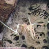 Bones & More Pteranodonte - ^ Modelos Para Construir