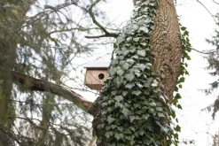 Esschert Design Refugio Para Ardillas - ^ Cajas Nido Y Comederos Para Animales