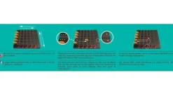 Gigamic Squadro - ^ Juegos De Puzzle, Estrategia Y Logica