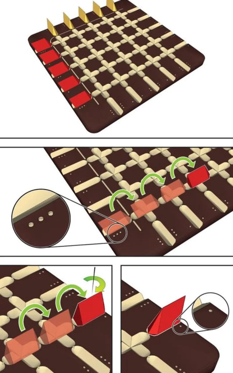 Gigamic Squadro Mini - ^ Juegos De Puzzle, Estrategia Y Logica