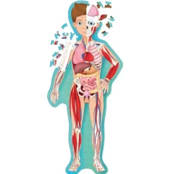 Sassi Junior Viajar, Descubrir, Explorar - El Cuerpo Humano - ^ Libros